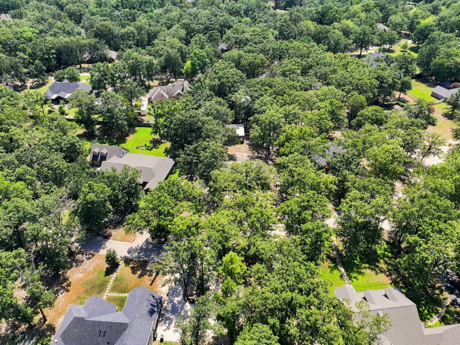 Photo 41 of 225 Red Oak Lane